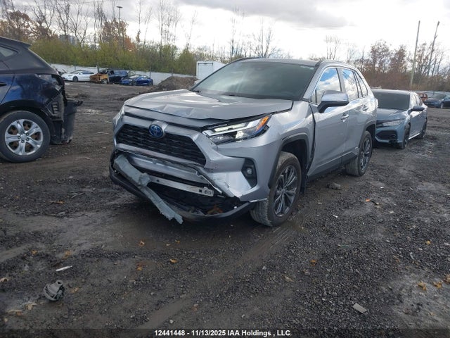 2T3RWRFV6PW184220 Toyota Rav4 Hybrid Xle