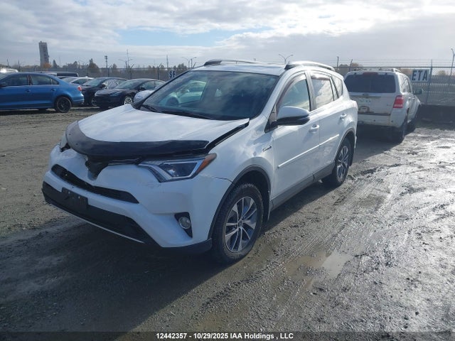 JTMRJREV7JD174493 Toyota Rav4 Hybrid Le+