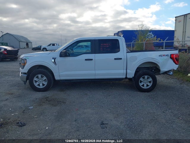 2023 Ford F150 Supercrew მანქანა იყიდება აუქციონზე, vin: 1FTEW1EP8PFA62639, აუქციონის ნომერი: 12442703