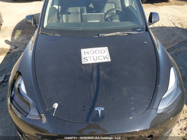 Aukcja sprzedaży 2023 Tesla Model Y, vin: 7SAYGAEE5PF674944, numer aukcji: 12442731