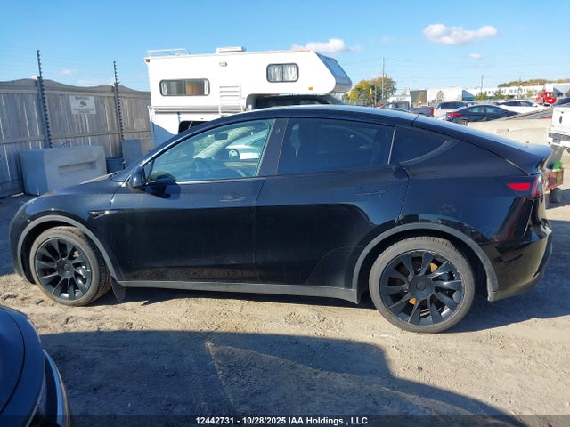 Aukcja sprzedaży 2023 Tesla Model Y, vin: 7SAYGAEE5PF674944, numer aukcji: 12442731