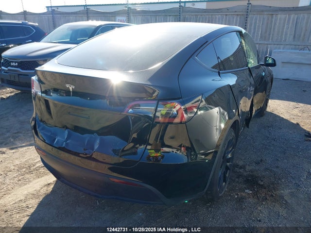 Aukcja sprzedaży 2023 Tesla Model Y, vin: 7SAYGAEE5PF674944, numer aukcji: 12442731