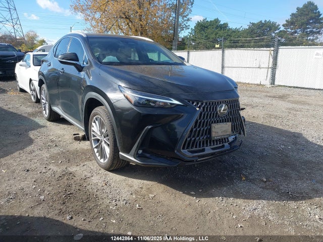Aukcja sprzedaży 2026 Lexus Nx Nx 350, vin: 2T2GGCEZ8TC097053, numer aukcji: 12442864