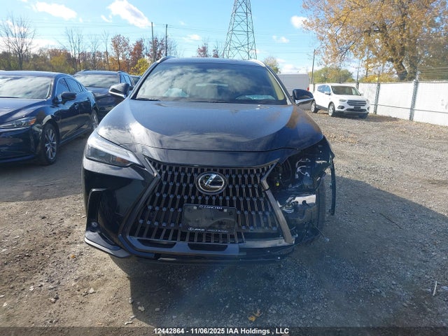 Aukcja sprzedaży 2026 Lexus Nx Nx 350, vin: 2T2GGCEZ8TC097053, numer aukcji: 12442864