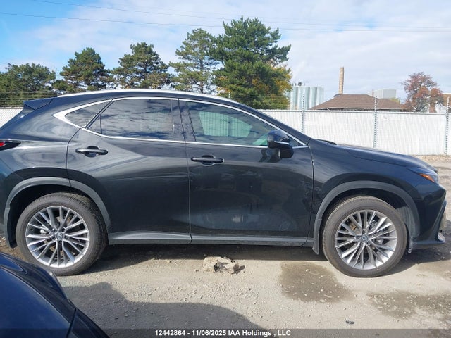 Aukcja sprzedaży 2026 Lexus Nx Nx 350, vin: 2T2GGCEZ8TC097053, numer aukcji: 12442864