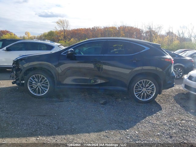 Aukcja sprzedaży 2026 Lexus Nx Nx 350, vin: 2T2GGCEZ8TC097053, numer aukcji: 12442864