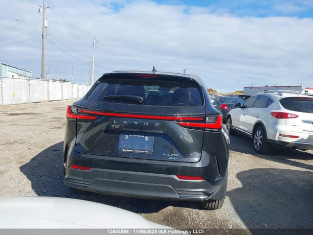 Aukcja sprzedaży 2026 Lexus Nx Nx 350, vin: 2T2GGCEZ8TC097053, numer aukcji: 12442864