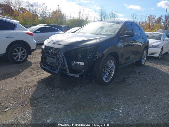 Aukcja sprzedaży 2026 Lexus Nx Nx 350, vin: 2T2GGCEZ8TC097053, numer aukcji: 12442864