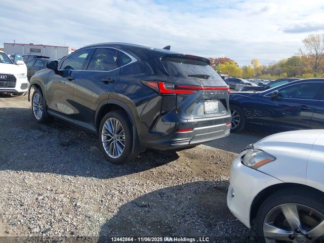 Aukcja sprzedaży 2026 Lexus Nx Nx 350, vin: 2T2GGCEZ8TC097053, numer aukcji: 12442864