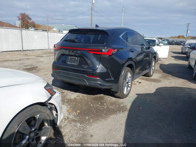 Aukcja sprzedaży 2026 Lexus Nx Nx 350, vin: 2T2GGCEZ8TC097053, numer aukcji: 12442864