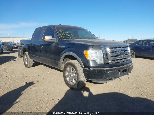 Aukcja sprzedaży 2011 Ford F-150 Fx4, vin: 1FTFW1EF7BFB67516, numer aukcji: 12442865