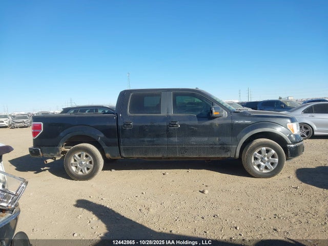 Aukcja sprzedaży 2011 Ford F-150 Fx4, vin: 1FTFW1EF7BFB67516, numer aukcji: 12442865