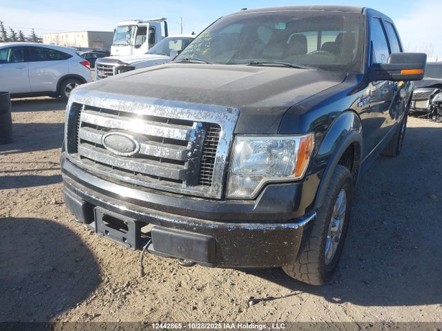 Aukcja sprzedaży 2011 Ford F-150 Fx4, vin: 1FTFW1EF7BFB67516, numer aukcji: 12442865
