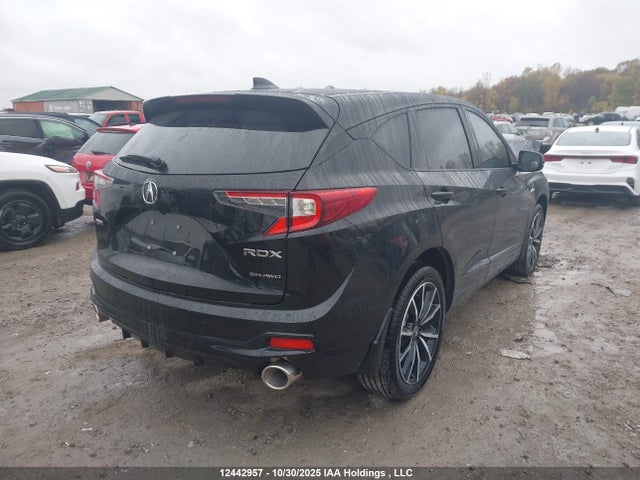 Acura k20c4 2025 5J8TC2H88SL804012 Image 4