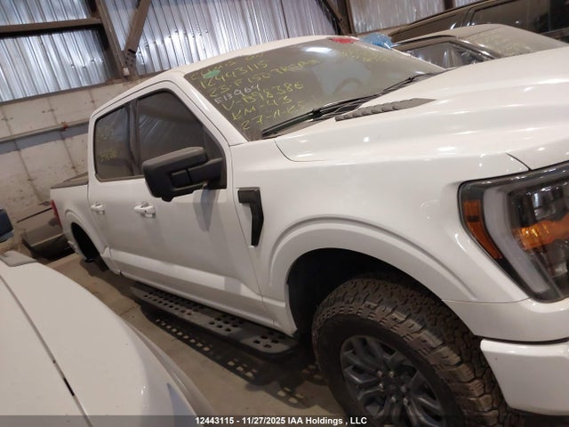 Ford F-150 Tremor 2023 1FTEW1E84PFB98386 Image 13