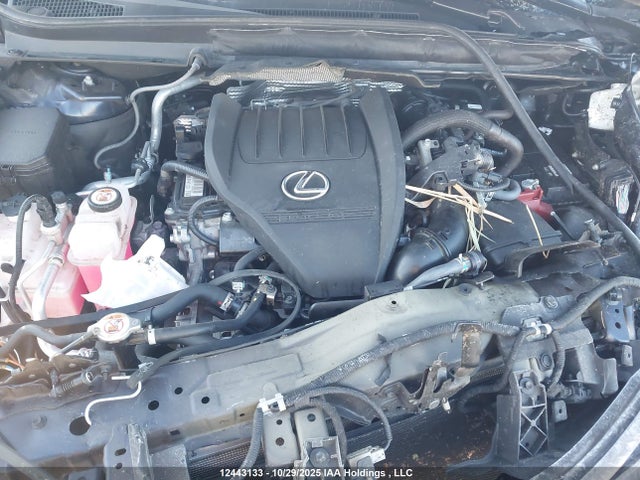 Lexus RX 350 2023 2T2BAMCAXPC012184 Image 10