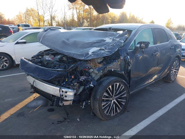 Lexus RX 350 2023 2T2BAMCAXPC012184 Image 2