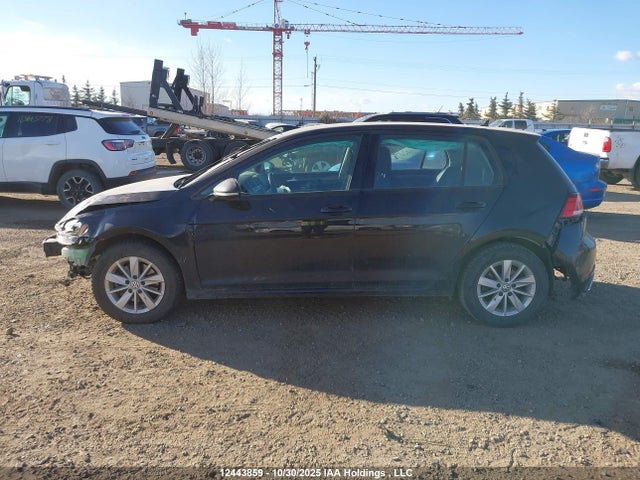 3VWG57AU5LM015084 Volkswagen Golf Comfortline/highline