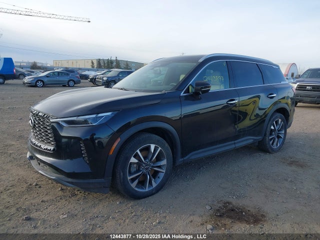Infiniti QX60 2022 5N1DL1FS7NC338486 Image 2