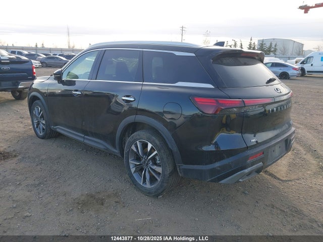 Infiniti QX60 2022 5N1DL1FS7NC338486 Image 3