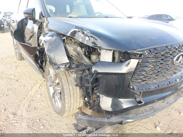 Infiniti QX60 2022 5N1DL1FS7NC338486 Image 6