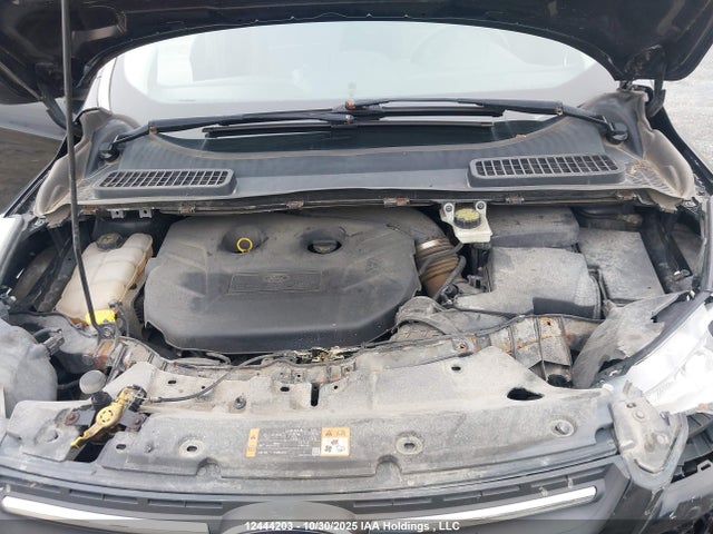 1FMCU9G90EUD34194 Ford Escape