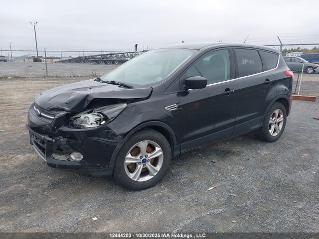 1FMCU9G90EUD34194 Ford Escape