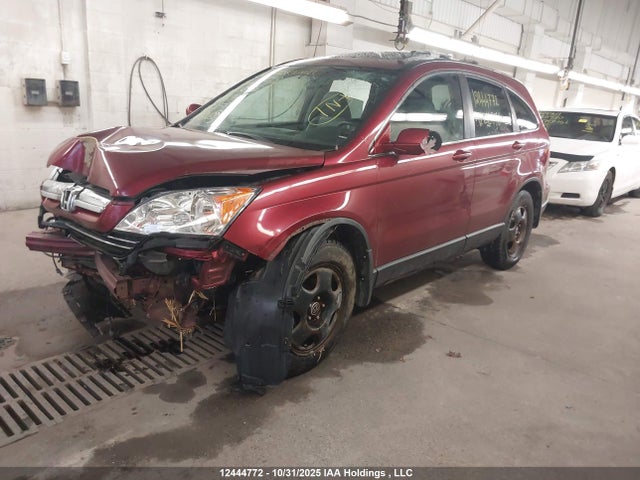 12444772 :رقم المزاد ، 5J6RE487X7L816976 vin ، 2007 Honda Cr-v Exl مزاد بيع