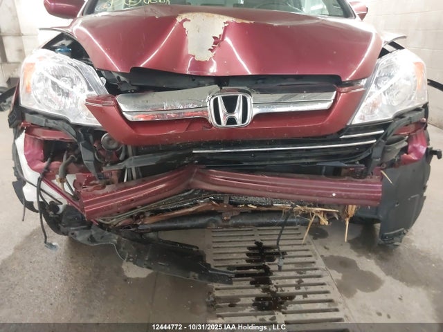 12444772 :رقم المزاد ، 5J6RE487X7L816976 vin ، 2007 Honda Cr-v Exl مزاد بيع