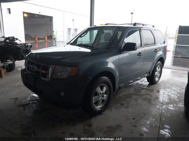 2011 Ford Escape Xlt მანქანა იყიდება აუქციონზე, vin: 1FMCU0DG1BKC55431, აუქციონის ნომერი: 12445185