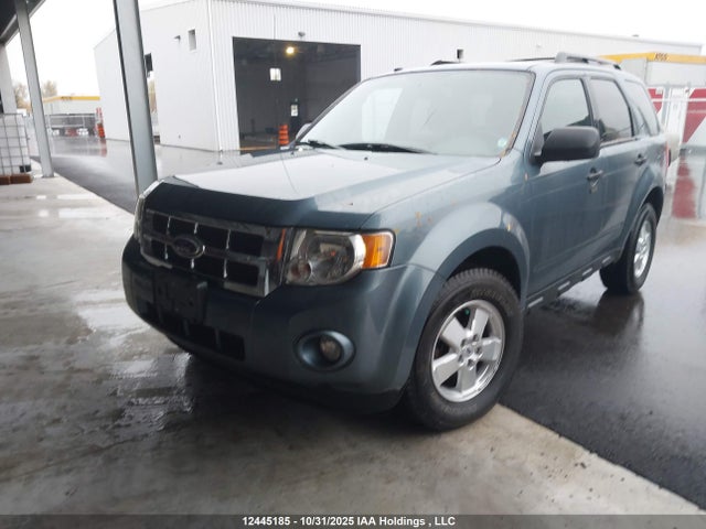 2011 Ford Escape Xlt მანქანა იყიდება აუქციონზე, vin: 1FMCU0DG1BKC55431, აუქციონის ნომერი: 12445185