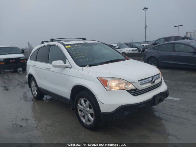 2008 Honda Cr-v Exl მანქანა იყიდება აუქციონზე, vin: 5J6RE48788L808229, აუქციონის ნომერი: 12445263