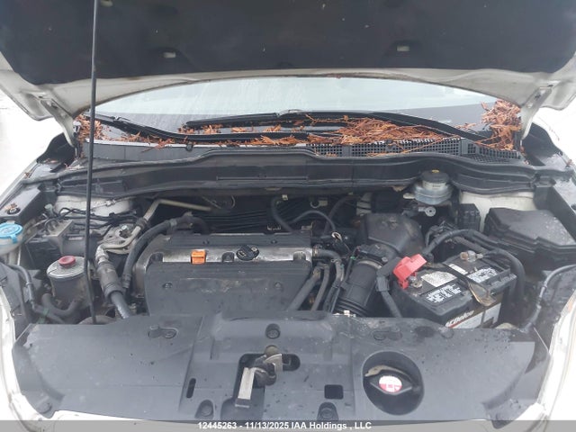 2008 Honda Cr-v Exl მანქანა იყიდება აუქციონზე, vin: 5J6RE48788L808229, აუქციონის ნომერი: 12445263