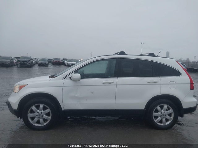 2008 Honda Cr-v Exl მანქანა იყიდება აუქციონზე, vin: 5J6RE48788L808229, აუქციონის ნომერი: 12445263