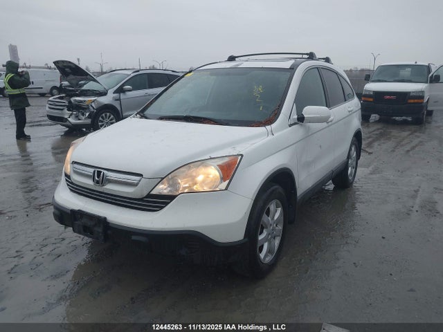 2008 Honda Cr-v Exl მანქანა იყიდება აუქციონზე, vin: 5J6RE48788L808229, აუქციონის ნომერი: 12445263