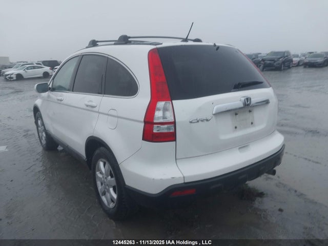 2008 Honda Cr-v Exl მანქანა იყიდება აუქციონზე, vin: 5J6RE48788L808229, აუქციონის ნომერი: 12445263