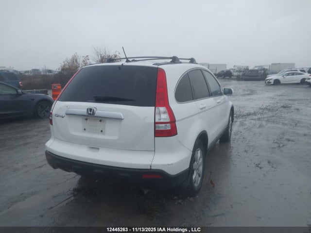 2008 Honda Cr-v Exl მანქანა იყიდება აუქციონზე, vin: 5J6RE48788L808229, აუქციონის ნომერი: 12445263