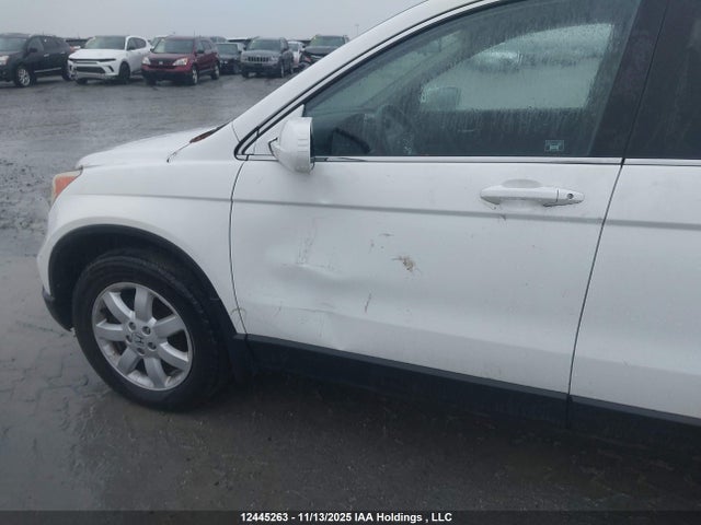 2008 Honda Cr-v Exl მანქანა იყიდება აუქციონზე, vin: 5J6RE48788L808229, აუქციონის ნომერი: 12445263