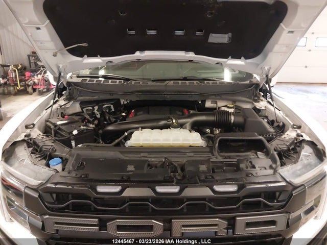 12445467 :رقم المزاد ، 1FTFW1RG9RFA23138 vin ، 2024 Ford F-150 Raptor مزاد بيع