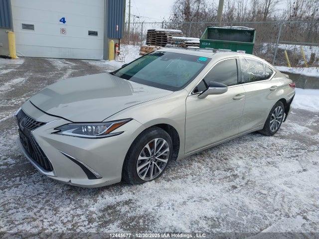 Lexus Es 300h 300h 2022 58AB21B17NU013511 Image 2