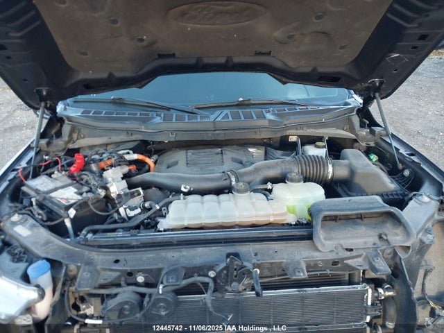2021 Ford F-150 Limited მანქანა იყიდება აუქციონზე, vin: 1FTFW1ED3MFB50200, აუქციონის ნომერი: 12445742