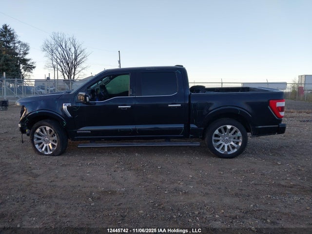 2021 Ford F-150 Limited მანქანა იყიდება აუქციონზე, vin: 1FTFW1ED3MFB50200, აუქციონის ნომერი: 12445742