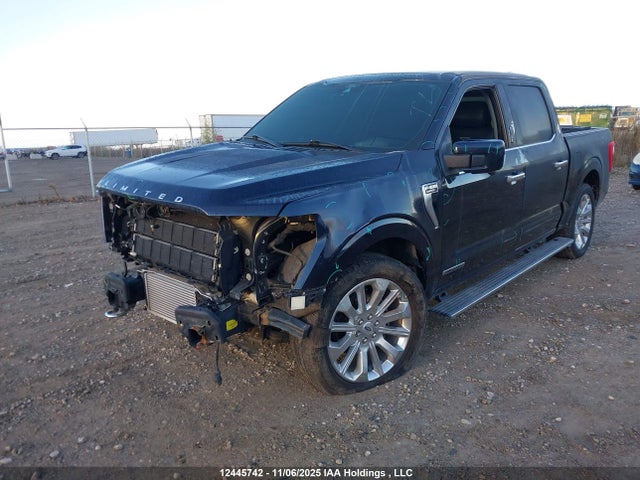 2021 Ford F-150 Limited მანქანა იყიდება აუქციონზე, vin: 1FTFW1ED3MFB50200, აუქციონის ნომერი: 12445742