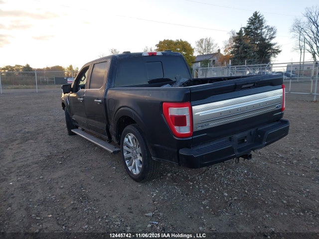 2021 Ford F-150 Limited მანქანა იყიდება აუქციონზე, vin: 1FTFW1ED3MFB50200, აუქციონის ნომერი: 12445742