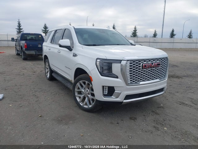 GMC Yukon Denali Denali 2024 1GKS2DKT0RR287659 Image 19