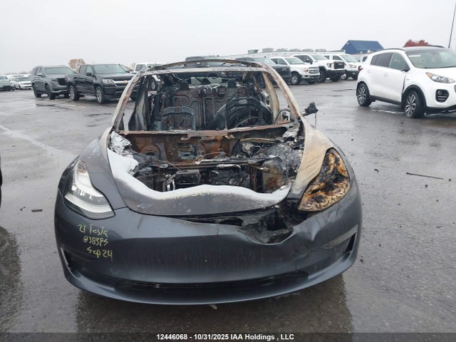 Продаж на аукціоні авто 2021 Tesla Model 3 Standard Range/standard Range Plus, vin: 5YJ3E1EA0MF838395, номер лоту: 12446068