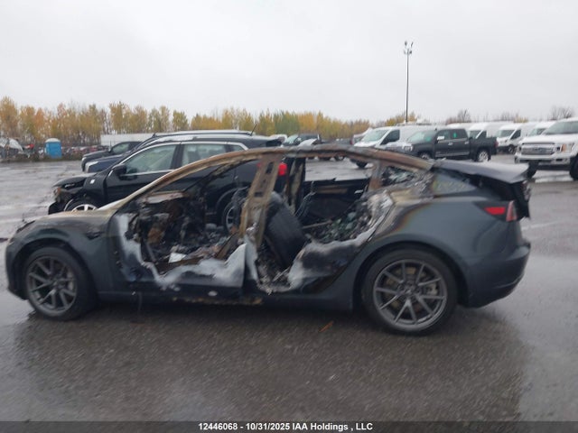 Продаж на аукціоні авто 2021 Tesla Model 3 Standard Range/standard Range Plus, vin: 5YJ3E1EA0MF838395, номер лоту: 12446068