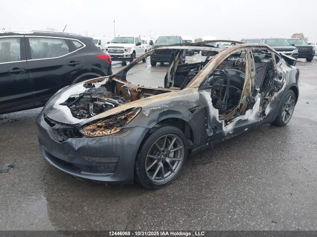 Продаж на аукціоні авто 2021 Tesla Model 3 Standard Range/standard Range Plus, vin: 5YJ3E1EA0MF838395, номер лоту: 12446068