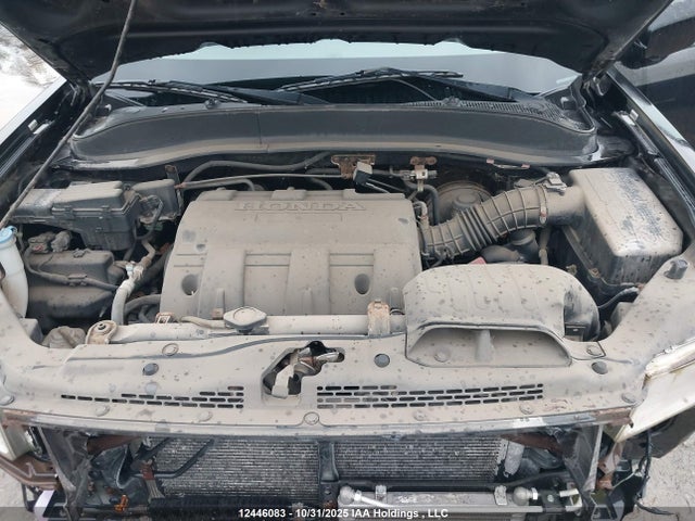 2010 Honda Ridgeline მანქანა იყიდება აუქციონზე, vin: 5FPYK1F54AB503885, აუქციონის ნომერი: 12446083