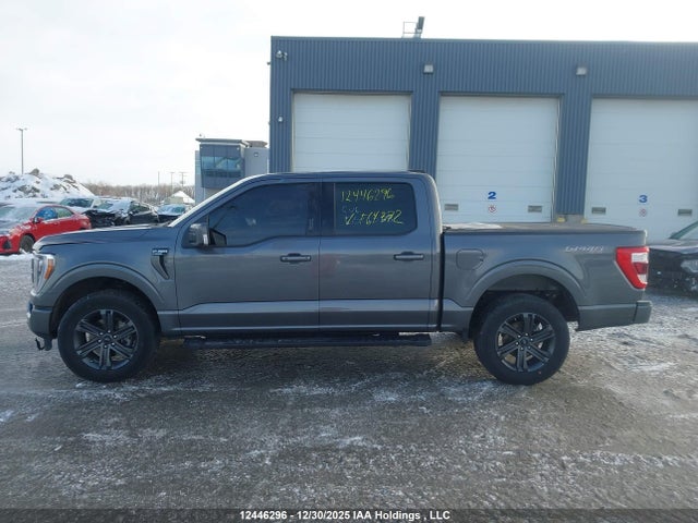12446296 :رقم المزاد ، 1FTEW1EP7PKF64372 vin ، 2023 Ford F150 Supercrew مزاد بيع